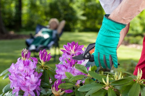 Healthy green Staines lawn with flowers