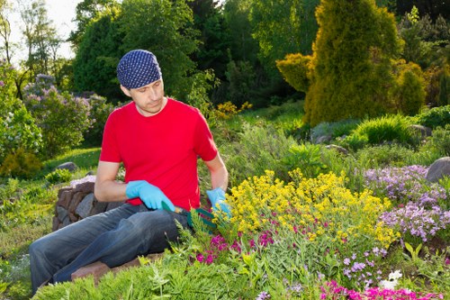 Professional lawn mowing equipment