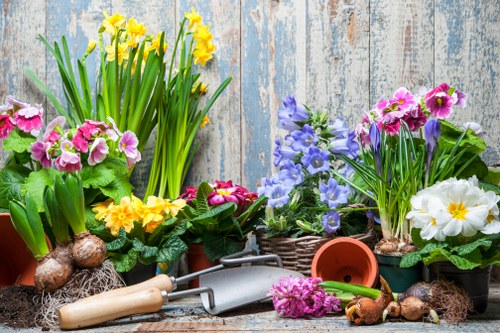 Community gardening project by About Us Gardening Staines