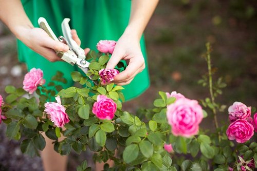 Historical garden in Staines with traditional plant varieties